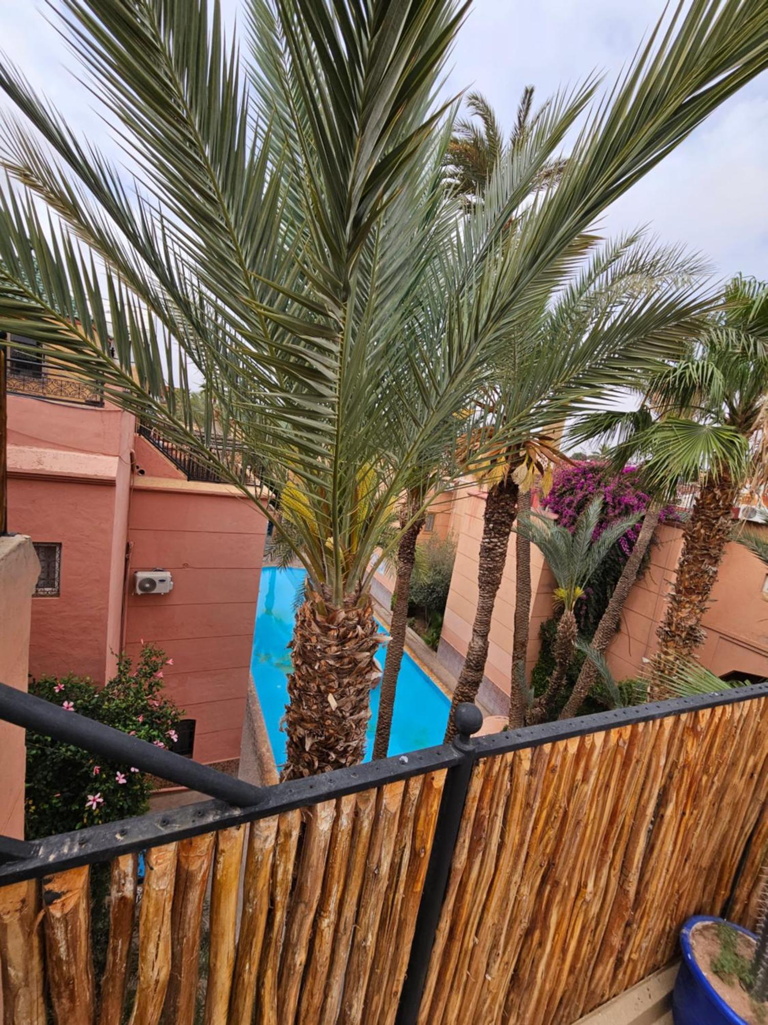 Duplex El Madina Villa Marrakesh Eksteriør bilde